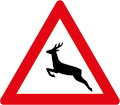 AREA