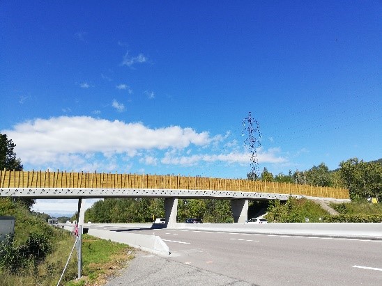 Ecopont d'Arenthon vu depuis l'autoroute