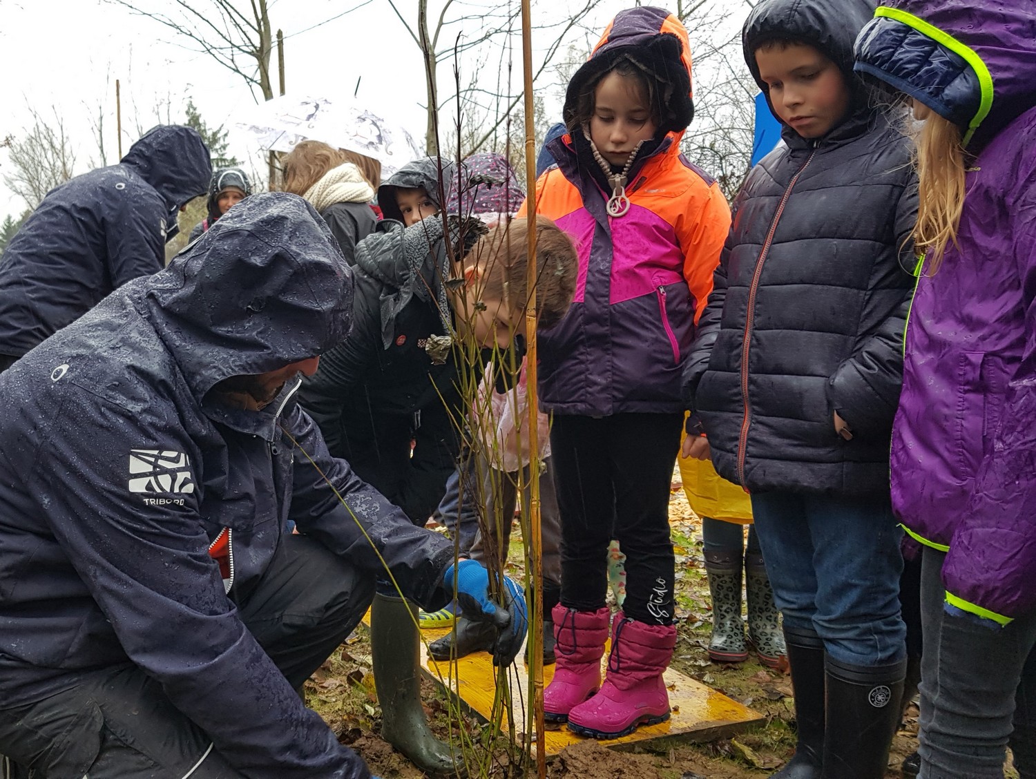 Elèves en train de planter un arbre sur l'écopont d'Arenthon